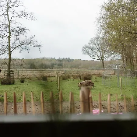 Bed & Breakfast De Knor Stevensbeek